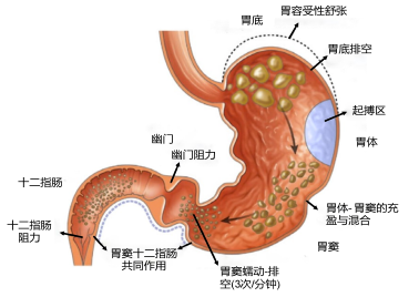 2055c77c1a117afb1fda1f3573b752f.png